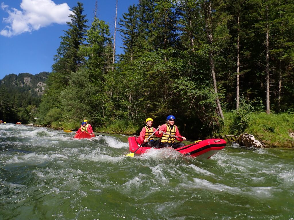 pexels-photo-33454979-33454979 Thrilling whitewater rafting adventure in stunning forested terrain. Perfect for adrenaline seekers.